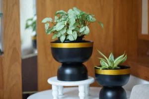 metallic planters for indoor plants suiting modern classic home decor