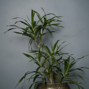 metallic planter